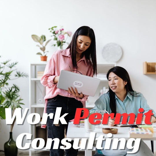 Istanbul work permit consultancy company
