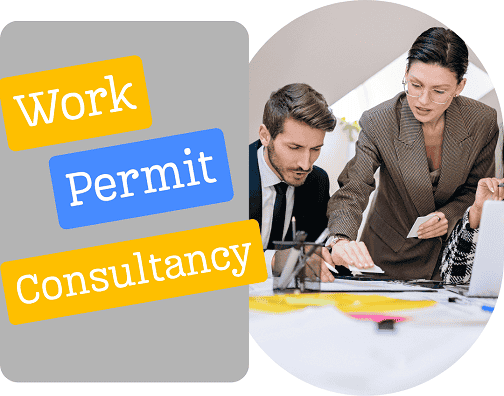 Work Permit Consultancy in Istanbul